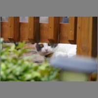 IMG_0002.html