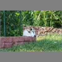 IMG_0336.html