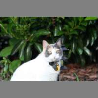 IMG_0375.html