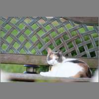 IMG_0389.html