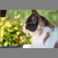 IMG_0394.html