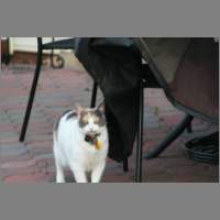 IMG_0435.html