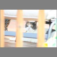 IMG_0470.html