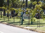 The IT department at Bacardi in Puerto Rico