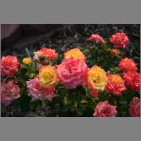 IMG_0003.html