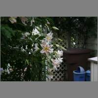 IMG_0004.html