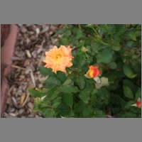 IMG_0006.html