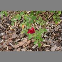 IMG_0007.html