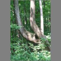 IMG_0019.html