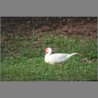 IMG_0060.html