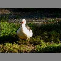 cp92602.html