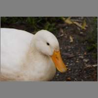 cp92603.html