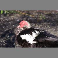 cp92605.html
