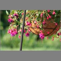fuscha01.html